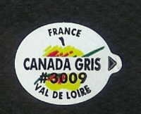CANADA GRIS - Sticks fruits - Pommes marché français - Modèles val de loire