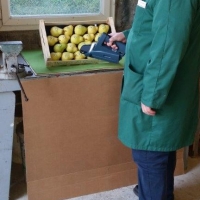 50x30 24 fruits - Alvéole cellulose pour pomme - Alvéole en cellulose moulée 50x30 cm