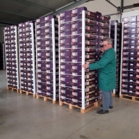 cornière 40x40x2.8x2200 - Cornière carton de cerclage - Corniere carton blanche - Corniere 40x40 carton blanche recyclable