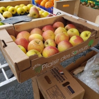 50x30 16 fruits - 1 - Alvéole cellulose pour pomme - Alvéole en cellulose moulée 50x30 cm