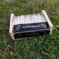 COMPLEXE 40x30 ASPERGE-PAGE-4 - Complexes a  agrafer