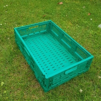 PLIABLE  60x40x13 - Caisse plastique pliable - Caisse pliable verte 60x40