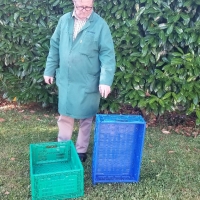 PLIABLE 60x40x23,5 - Caisse plastique pliable - Caisse pliable verte 60x40