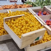 40x30 C90 H135 - Plateau bois - Plateau bois 40x30 cm