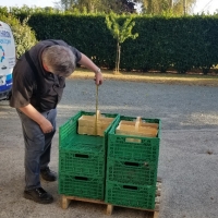 69x40x15 -12 MELONS - Caisse plastique pliable - Caisse pliable verte 60x40