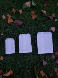  24 x 35 KRAFT BLANC  - Sacs papiers  - Minis sacs pour semence 