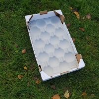 50x30 16 fruits - 2 - Alvéole cellulose pour pomme - Alvéole en cellulose moulée 50x30 cm