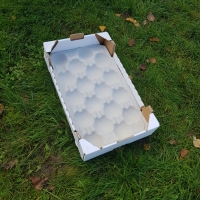 50x30 - 18 fruits - 2 - Alvéole cellulose pour pomme - Alvéole en cellulose moulée 50x30 cm