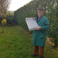 50x30 16 fruits - 4 - Alvéole cellulose pour pomme - Alvéole en cellulose moulée 50x30 cm