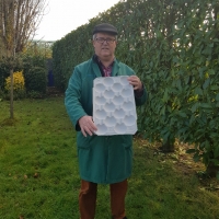 50x30 - 18 fruits - 4 - Alvéole cellulose pour pomme - Alvéole en cellulose moulée 50x30 cm