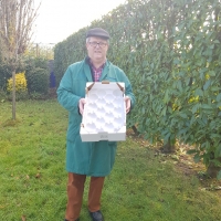 50x30 - 18 fruits - 3 - Alvéole cellulose pour pomme - Alvéole en cellulose moulée 50x30 cm