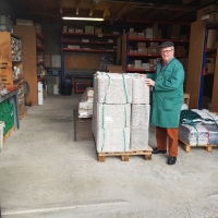 PALETTE 18 fruits - SUR LE DEPART - Alvéole cellulose pour pomme - Alvéole en cellulose moulée 50x30 cm