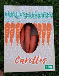 Boite 5 kg carottes - Boites carottes