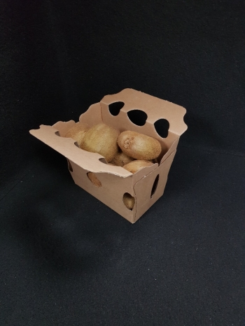 barquette carton 1kg de pomme de terre - 4 - Photo 20220114_113201_resized_1.jpg
