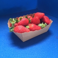 Barquette carton kraft brun sans anse - 500g - Barquette carton kraft - Barquette carton brun