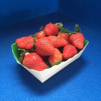 Barquette Carton Primeur 500 g sans anse - Barquette carton blanc/vert