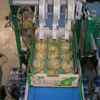 60x40 cm 15L - Alvéole cellulose pour melon - Alvéole cellulose moulée 60x40