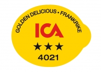 GOLDEN DELICIOUS  # 3208 - Stick pour fruit et légume - Pommes export - Ica