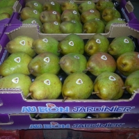 50x30 18 fruits - 1 - Alvéole cellulose pour pomme - Alvéole en cellulose moulée 50x30 cm