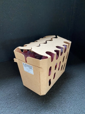 Barquette carton 1kg prune avec rabats 1 - Photo barquette_carton_1kg_prune_a_rabat.jpg