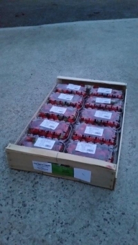 Barquette 500g dans un plateau bois 60x40  - Barquette plastique pour fruits - Barquettes fraises 