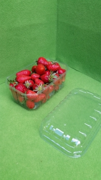 Barquette 500g avec couvercle - Barquette plastique pour fruits - Barquettes fraises 