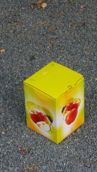 BIB 5 Litres avec impression - Bag in box / bib - Bib jus de pomme imprimé
