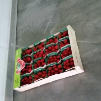 Option finition communication sur plateau - Barquette carton fraise w imprime - Barquette fraise w imprime fraise avec couvercle