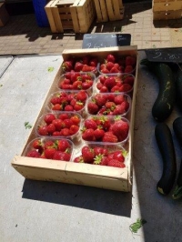 Barquette 250g dans un plateau bois 50x30 - Barquette plastique pour fruits - Barquettes fraises 