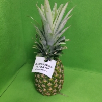 BRACELET ELASTIQUE NOIR ANCRE DE 45 - Bracelet plastique pour ancre