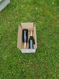 CAISSE DE 2 BOUTEILLES - Emballages pour bouteilles - Caisses pour bouteille de vin