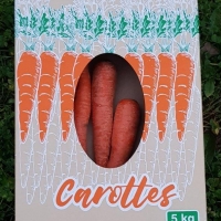 Boite 5 kg carottes - Boîte carottes