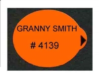 GRANNY SMITH < 75 mm - Stick pour fruit et légume - Pommes marché français - Modèles fond orange