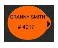 GRANNY SMITH > 75 mm - Stick pour fruit et légume - Pommes marché français - Modèles fond orange
