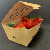 Barquette Carton Couvercle Charnière 500 gr - Barquette charniere