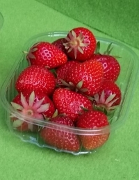 Barquette Plastique 125g  - Barquette plastique pour fruits - Barquettes fraises 