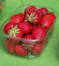 Barquette Plastique 250g   - Barquette plastique pour fruits - Barquettes fraises 