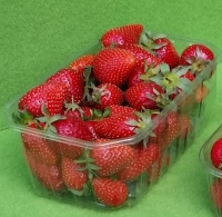 Barquette Plastique 500g - Barquette plastique pour fruits - Barquettes fraises 