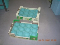 60x40 cm 15Q - Alvéole cellulose pour melon - Alvéole cellulose moulée 60x40