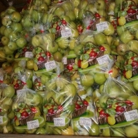 sac wicket passe partout imprimé - Sac wicket ( sac liasse)